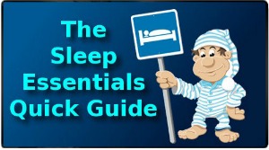 End Your Sleep Deprivation Sleep Essentials Mini Guide