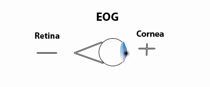 Electrical charges of the eye - EOG
