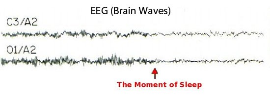 Sleep Onset Brain Waves