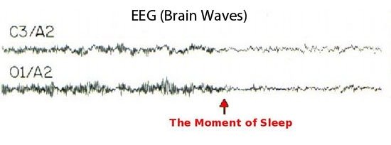 Sleep Onset Brain Waves